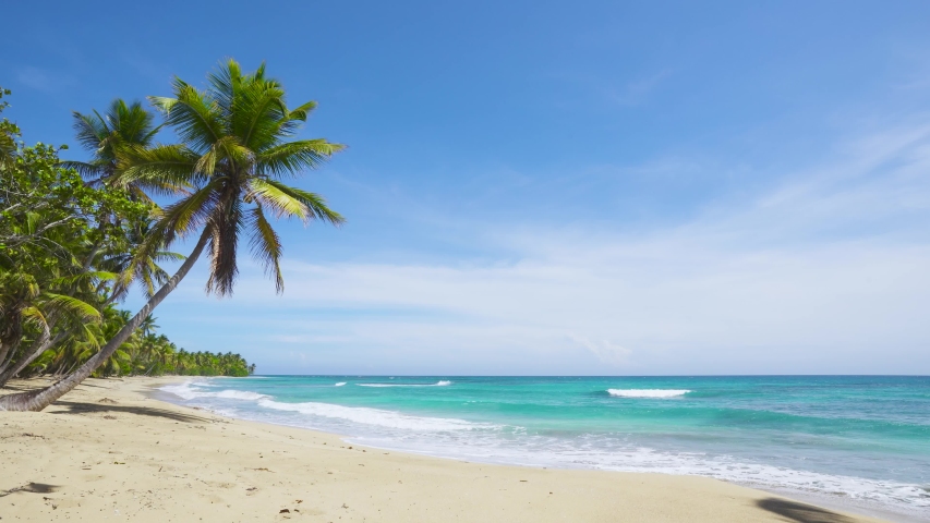 Wild wide palms sandy beach tropical landscape in sunny day. Summer paradise beach background.  Island vacation in Indian ocean. Royalty-Free Stock Footage #1055012903