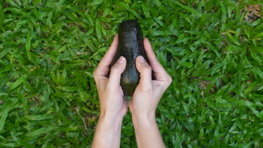 Woman Hands Hold and Open Two Cut Halves of Fresh Green Avocado on the Bright Green Grass on Background in Nature. Healthy Vegan Food Concept