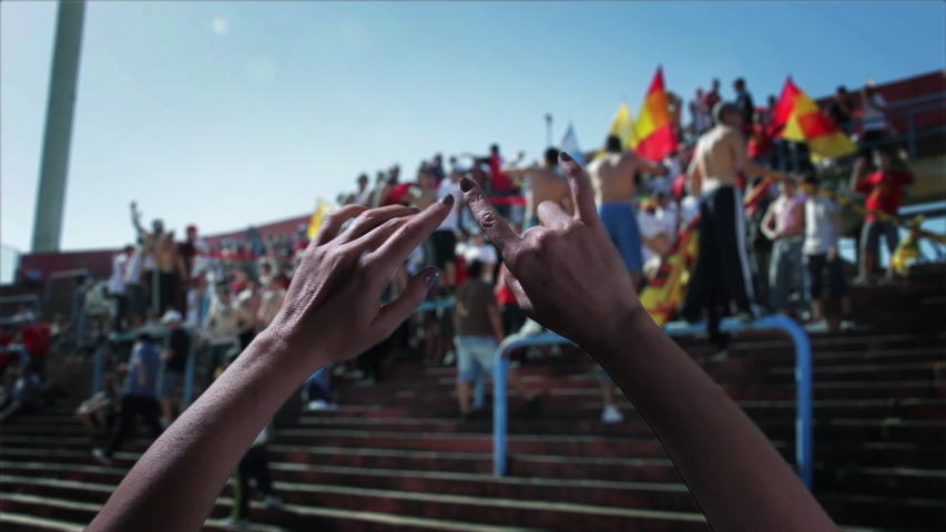 Behind The Back View Of Fan Gesturing At Sports Stadium Match