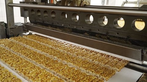 confectionery factory. cutting a bar of peanut brittle on industrial conveyor line.