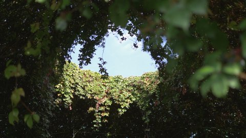 Mysterious green hole window in a park in a sunny day in 4k slow motion 60fps