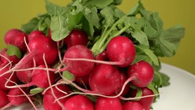 Closeup view video footage of fresh raw small organic garden radish isolated on white plate. Vegetables grown on eco farm.