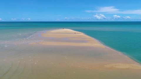 Panoramic landscape of paradise beach. Northeast brazilian beaches. Vacations travel. Tropical scenery.