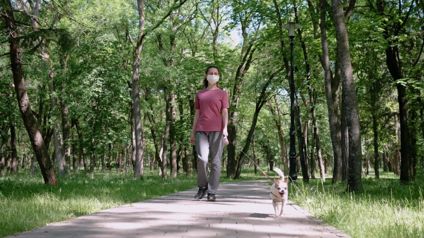 Young woman in protective mask on his face walking in Park with small dog Chihuahua. | Shutterstock HD Video #1055061170
