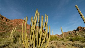 Time lapse tracking shot of Milky Way galaxy rising over Organ Pipe Cactus National Monument in Arizona - Powered by Shutterstock - Get 15% off with code: PIKWIZARD15