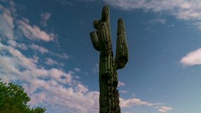 Time lapse tracking shot of Milky Way galaxy rising over Saguaro cactus at Superstition Mountain in Arizona - Powered by Shutterstock - Get 15% off with code: PIKWIZARD15
