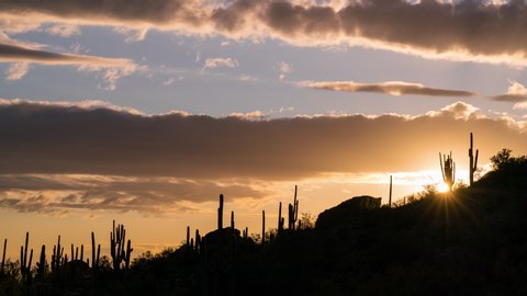 Time lapse of sunset over Saguaro cactus silhouette at Superstition Mountain in Arizona