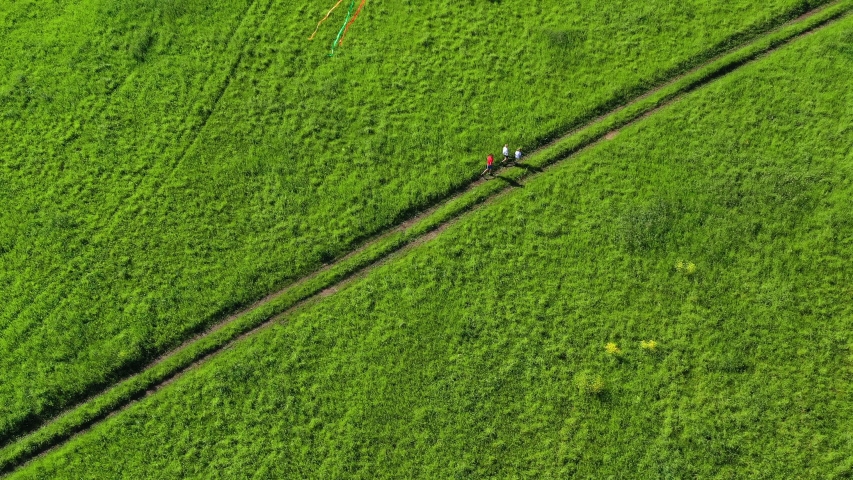 Aerial view. Kids running on green meadow and flying kite on sunny day. 