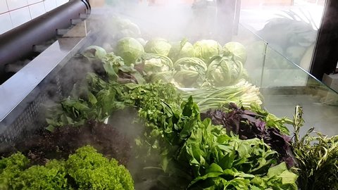 fresh vegetables in the store in the refrigerator