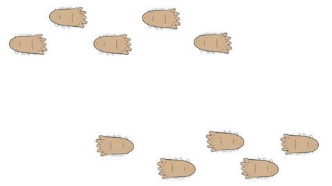 Background trajectory Footprints of Bigfoot. Foot prints of Sasquatch.