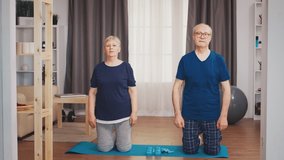 Senior couple enjoying their physical training together. Old person healthy lifestyle exercise at home, workout and training, sport activity at home