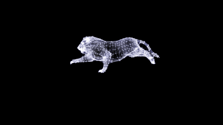 Abstract animation of a lion running. Poly wire frame illustration. Wild animals concept. Polygonal art with lines and dots.  plexus line alpha motion Royalty-Free Stock Footage #1055101946