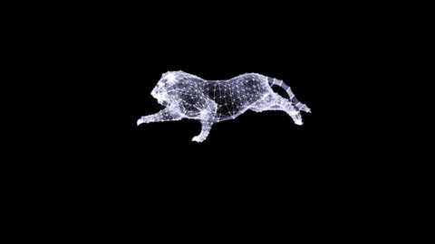 Abstract animation of a lion running. Poly wire frame illustration. Wild animals concept. Polygonal art with lines and dots.  plexus line alpha motion