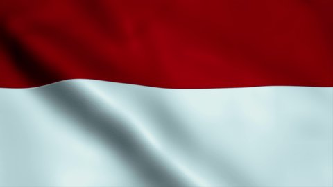 Indonesia flag waving in the wind. National flag of Indonesia. Sign of Indonesia seamless loop animation.