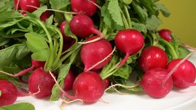 Closeup view video footage of fresh raw small organic garden radish isolated on white plate. Vegetables grown on eco farm.