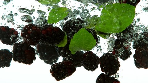 Super slow motion of falling blackberries into water on white background. Filmed on high speed cinema camera, 1000 fps.