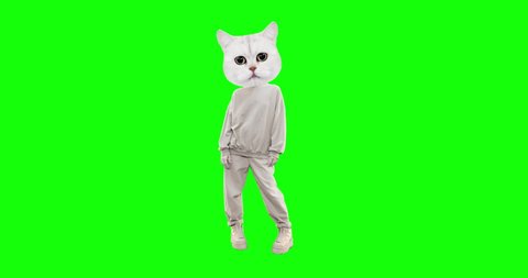 Stop motion funny Cat with different emotions on chroma key background. Kitty dancing power. Ideal for advertising and presentations