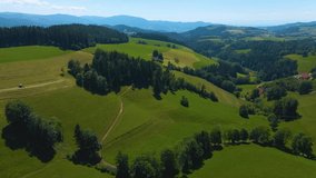  Aerial view of the southern part of the black forest on sunny day in summer.