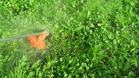 Modern orange trimmer mows green grass close up