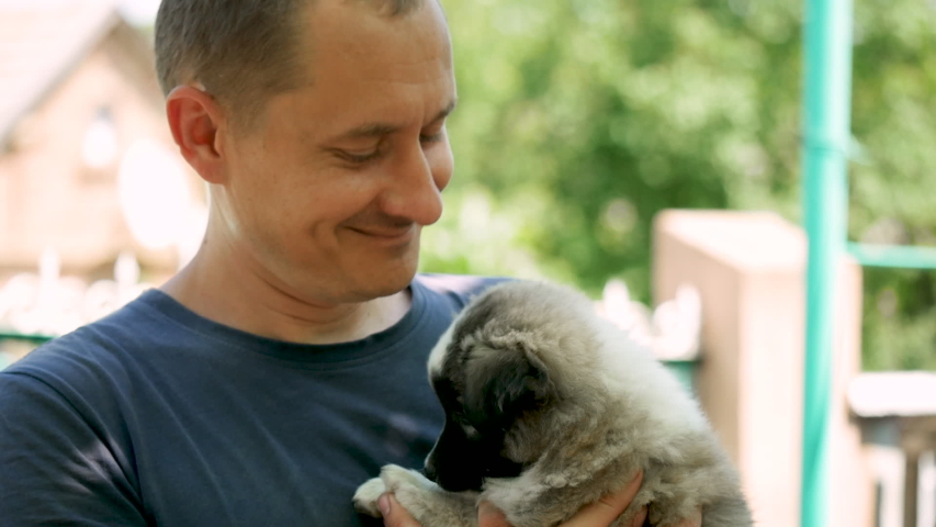 Volunteer Man Took Puppy From Shelter. Adopted Animal. Small Cute Pet Finds Home. Puppy Gratefully Licks a Person's Face. Happy Emotions Concept Royalty-Free Stock Footage #1055120417