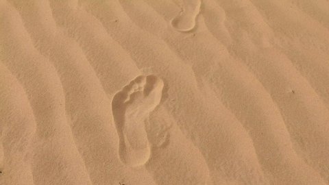 Human footprint on designed dust waves of desert field