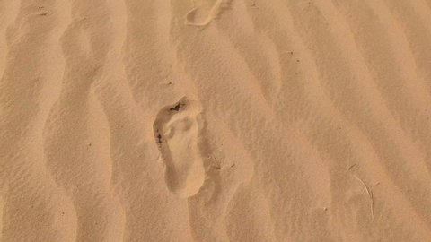 Human footprint on designed dust waves of desert field
