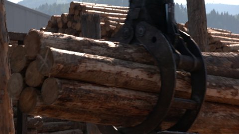 Recordings on the premises of a sawmill in the Black Forest. Stacks of freshly felled trees are reloaded.