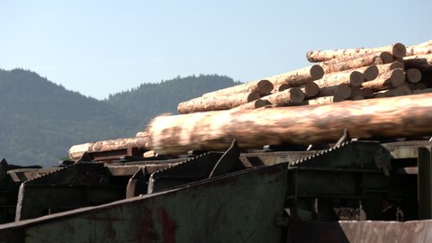 Transport system on the outside of a large sawmill. many logs and a gigantic transport system with which these logs are fed for processing.