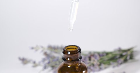 Lavender oil is pipetted into a brown glass bottle. Lavender essential oil pipetted in bottle. Lavender oil drops dripping from a pipette into a bottle.