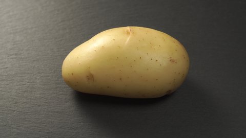 Single uncooked potato on a gray stone background. Slow rotation