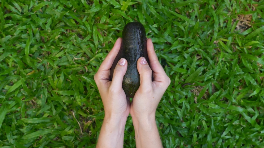 Woman Hands Hold and Open Two Cut Halves of Fresh Green Avocado on the Bright Green Grass on Background in Nature. Healthy Vegan Food Concept