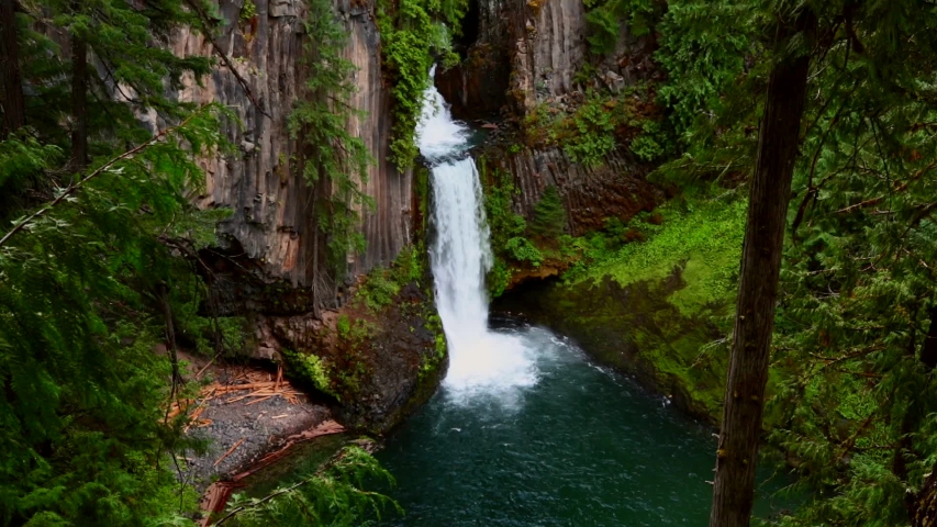 Beautiful waterfall in green forest, Oregon, USA.