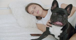 Attractive young woman and cute french bulldog dog are sleeping together at home on bed hugging enjoying relaxation. Humans and animals friendship concept. 4k raw video footage