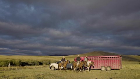 MONTANA - CIRCA 2020 - Cowboys on horseback during an early morning roundup of a herd of cattle in Montana