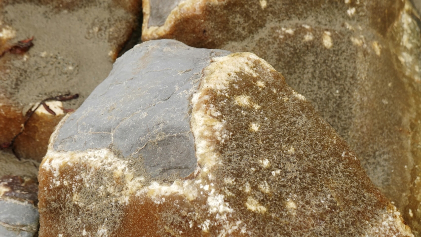 The Moeraki Boulders are unusually large and spherical boulders lying along a stretch of Koekohe Beach on the wave-cut Otago coast of New Zealand 