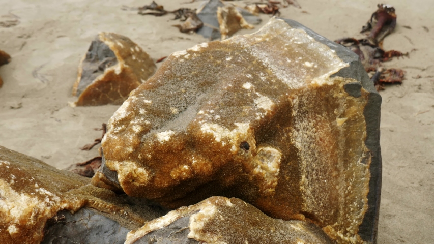 The Moeraki Boulders are unusually large and spherical boulders lying along a stretch of Koekohe Beach on the wave-cut Otago coast of New Zealand 