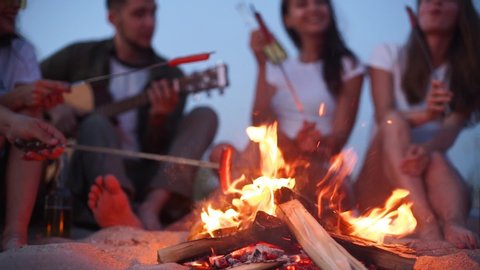Close view of friends frying sausages sitting around bonfire, drinking beer, playing guitar on sandy beach. Young group of men and women with beverage singalong playing guitar near campfire in dusk.