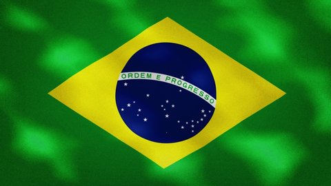 Bandeira Do Brasil Oficial Stock Video Footage 4k And Hd Video Clips Shutterstock