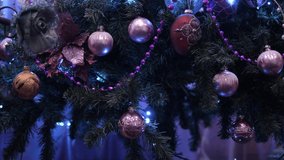 Christmas Tree decorations pulsing lights. Pink, red, orange balls. Isolated. - Powered by Shutterstock - Get 15% off with code: PIKWIZARD15