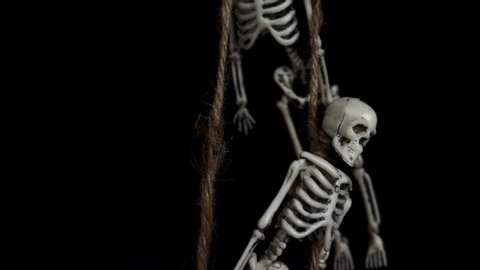 Hanging by the throat toy skeletons on a black background Halloween decor. Theme of the celebration of Day of the dead and Halloween. Isolated skeleton on a black background.