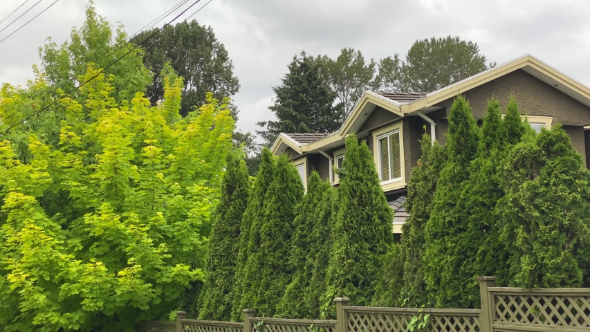 Establishing shot of two story stucco luxury house with green fence, big tree and nice landscape in Vancouver, Canada, North America. Dramatic clouds. Day time on June 2020. Pan right. H.264. Royalty-Free Stock Footage #1055233589