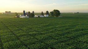 Aerial view of american countryside landscape, farmland. Drone flying low over corn field. Rural scenery, farm. Sunny morning, sunrise, spring summer season  - Powered by Shutterstock - Get 15% off with code: PIKWIZARD15