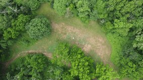 Aerial footage of grassland in a forest 