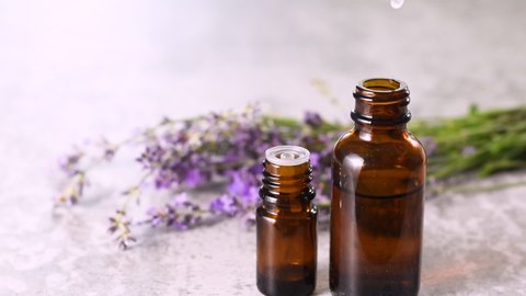 Lavender oil is pipetted into a brown glass bottle. Lavender essential oil pipetted in bottle. Lavender oil drops dripping from a pipette into a bottle.