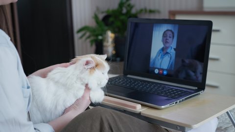 help of veterinarian online, young caring woman with her beloved cat communicates with veterinarian using modern technology webcam on laptop