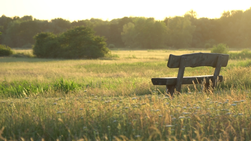 Landscape nature empty seat wood bench chair with green plant under sunset background change to gold natural light color of beautiful grass wheat meadow prairie field in summer sun clear sky Royalty-Free Stock Footage #1055260658