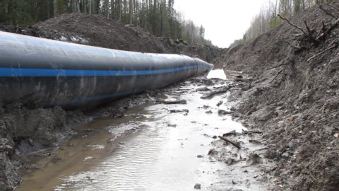 Plastic water pipe (pipeline) goes through forest areas in the North. Cut a clearing in the mixed autumn forest