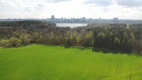 Slow flight over a green sown field and Park with a view of the city of Minsk. 4K drone footage.Belarus