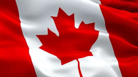 Canada flag. Canadian Flag background waving in wind. Red maple leaf flag Closeup 1080p HD video. Canada Day Montreal 1080p Full HD 1920X1080 footage video waving.Canada seamlessly footage video
