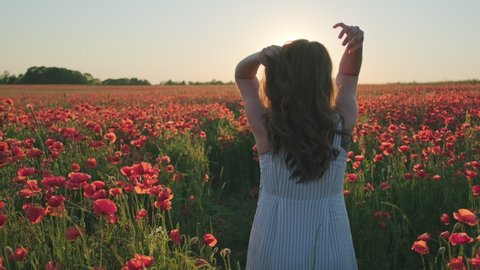 Pan right and pan left view of anonymous woman in dress tousling long hair while resting in poppy field during sundown
